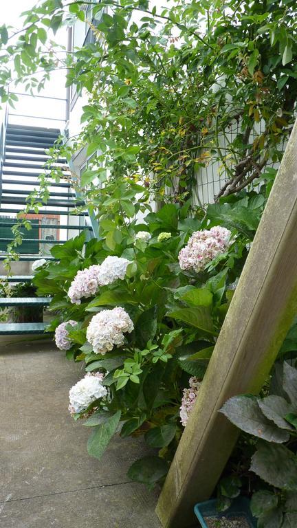 Azores Holidays House -b&b - - Self Check-in Keyboard Couette-café *