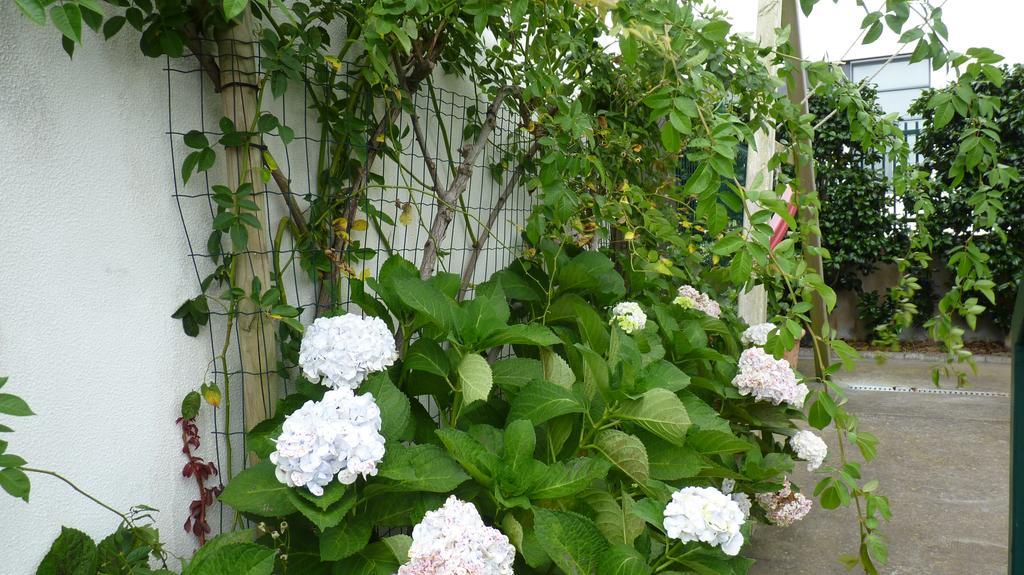Azores Holidays House -b&b - - Self Check-in Keyboard * Ponta Delgada (Sao Miguel)